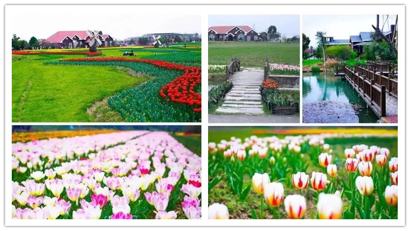 BBunion国际早教丹阳中心活动花絮:春天在哪里 BBunion国际早教丹阳中心活动花絮:春天在哪里